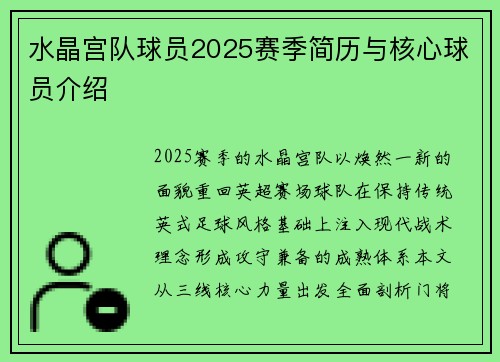 水晶宫队球员2025赛季简历与核心球员介绍